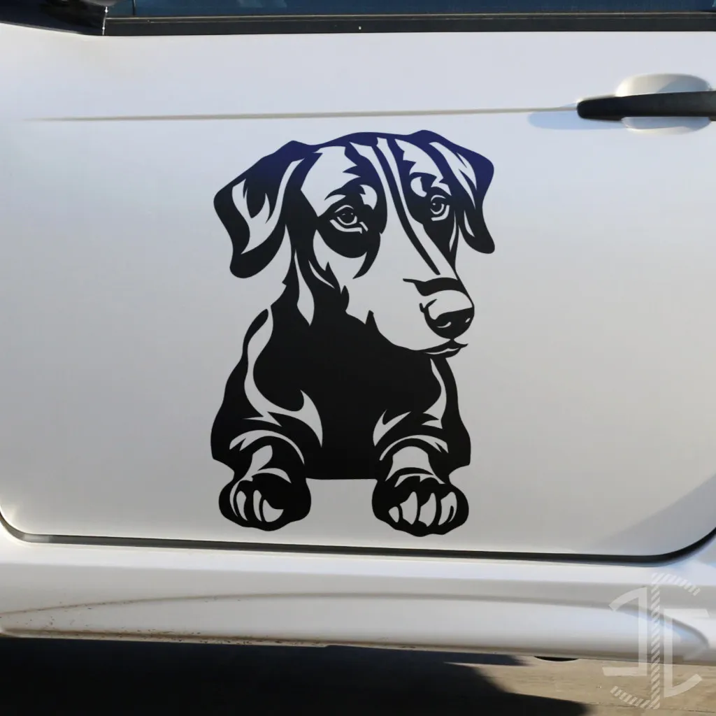 Dachshund, o salsicha - Autocolante em Vinil