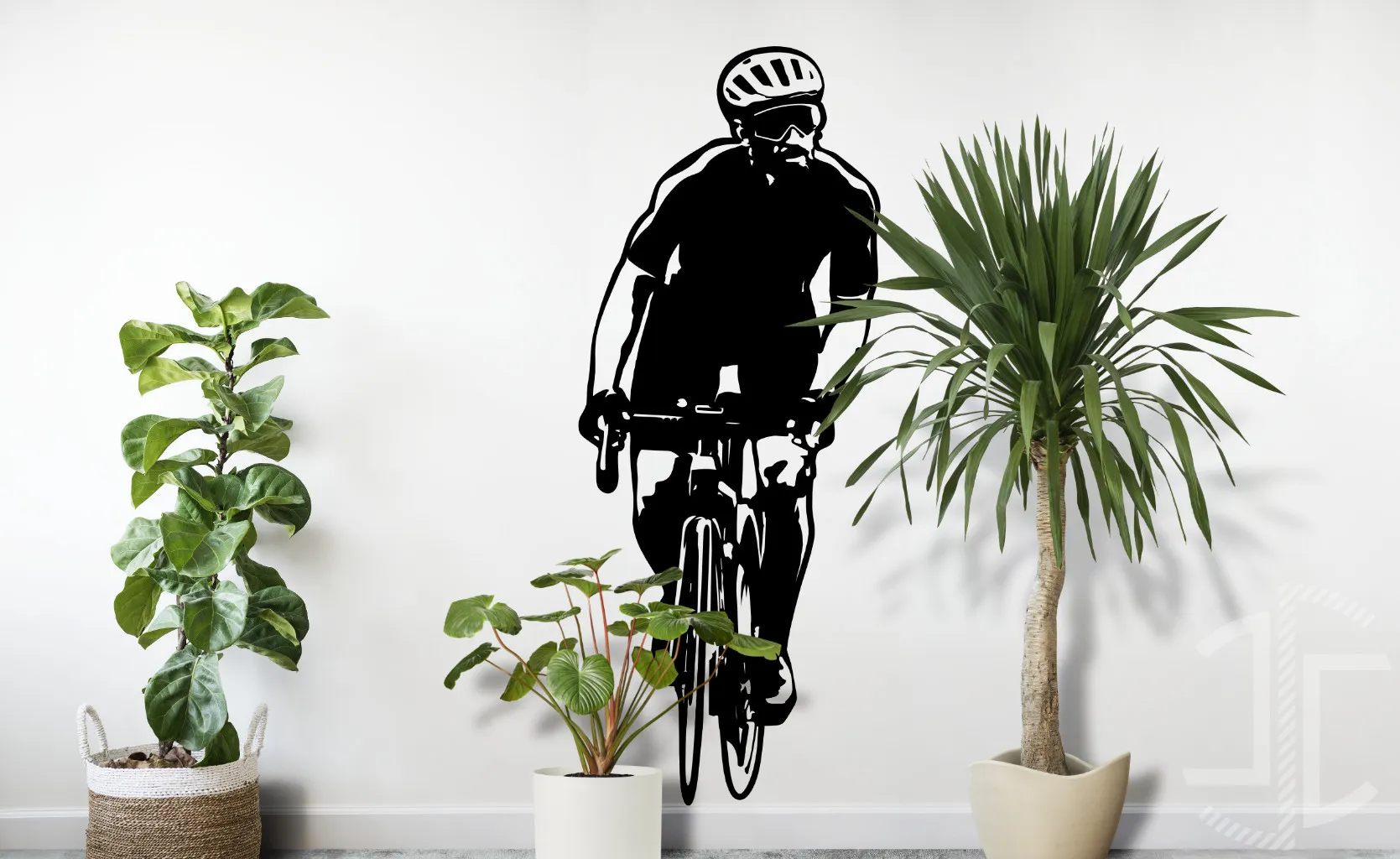 O Ciclista - Imagem 2