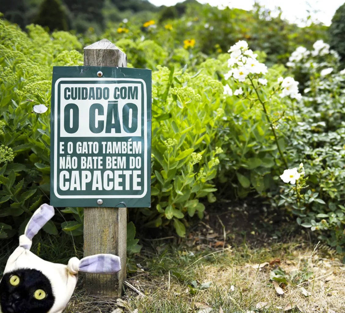 Cuidado com o cão - Tipografia - Imagem 3