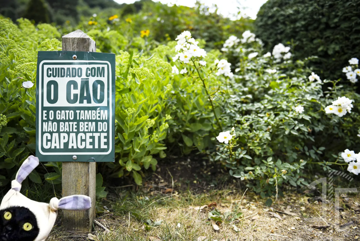 Cuidado com o cão - Tipografia - Imagem 4