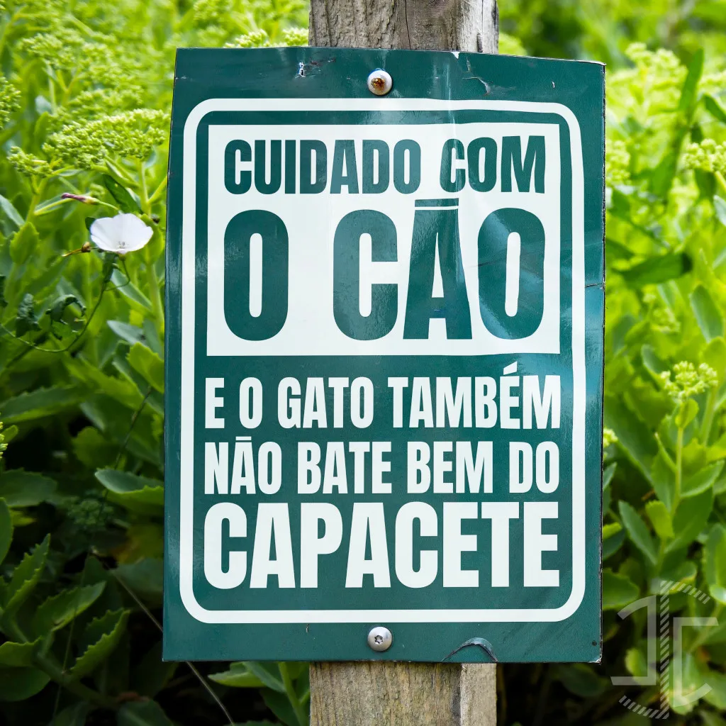 Cuidado com o cão - Tipografia - Autocolante em Vinil