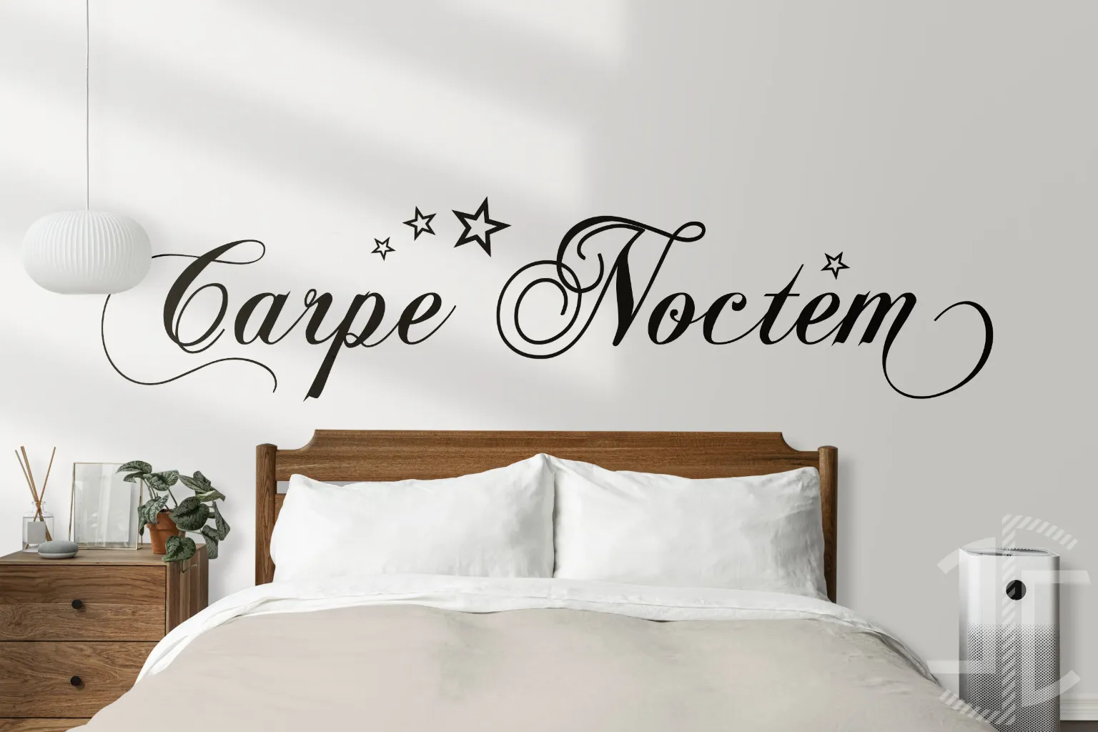 Carpe Noctem - Tipografia - Autocolante em Vinil - Imagem 2