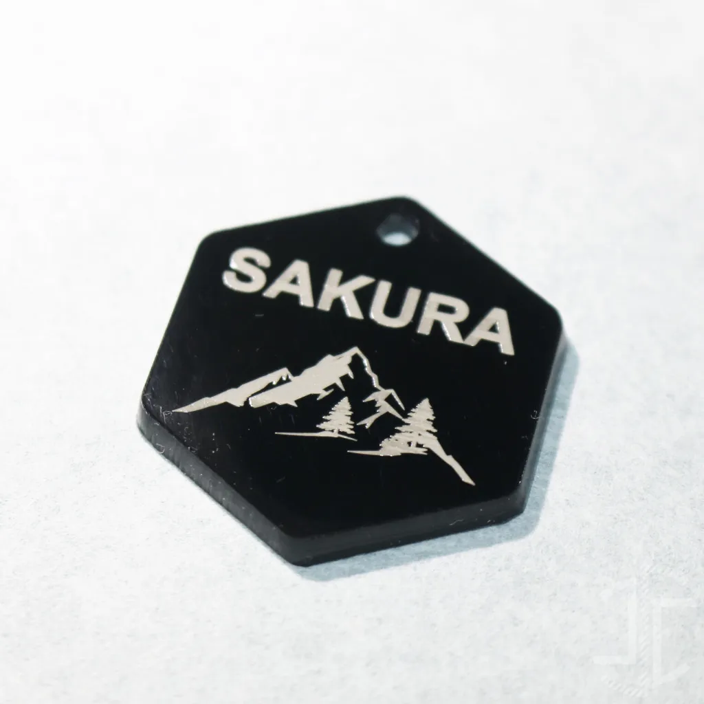 Medalha de identificação animal hexagonal - Acrílico Preto - 3mm - Imagem 4