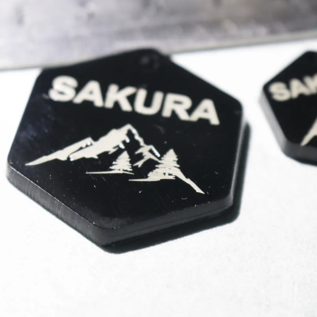 Medalha de identificação animal hexagonal - Acrílico Preto - 3mm - Imagem 6